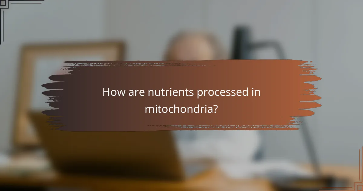 How are nutrients processed in mitochondria?