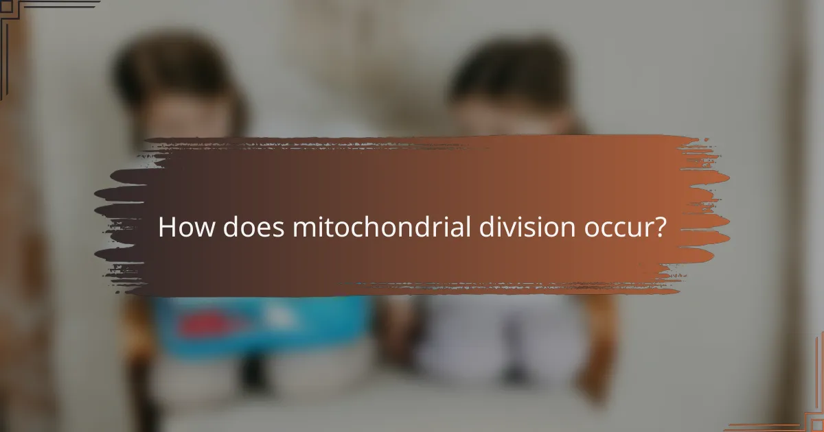 How does mitochondrial division occur?