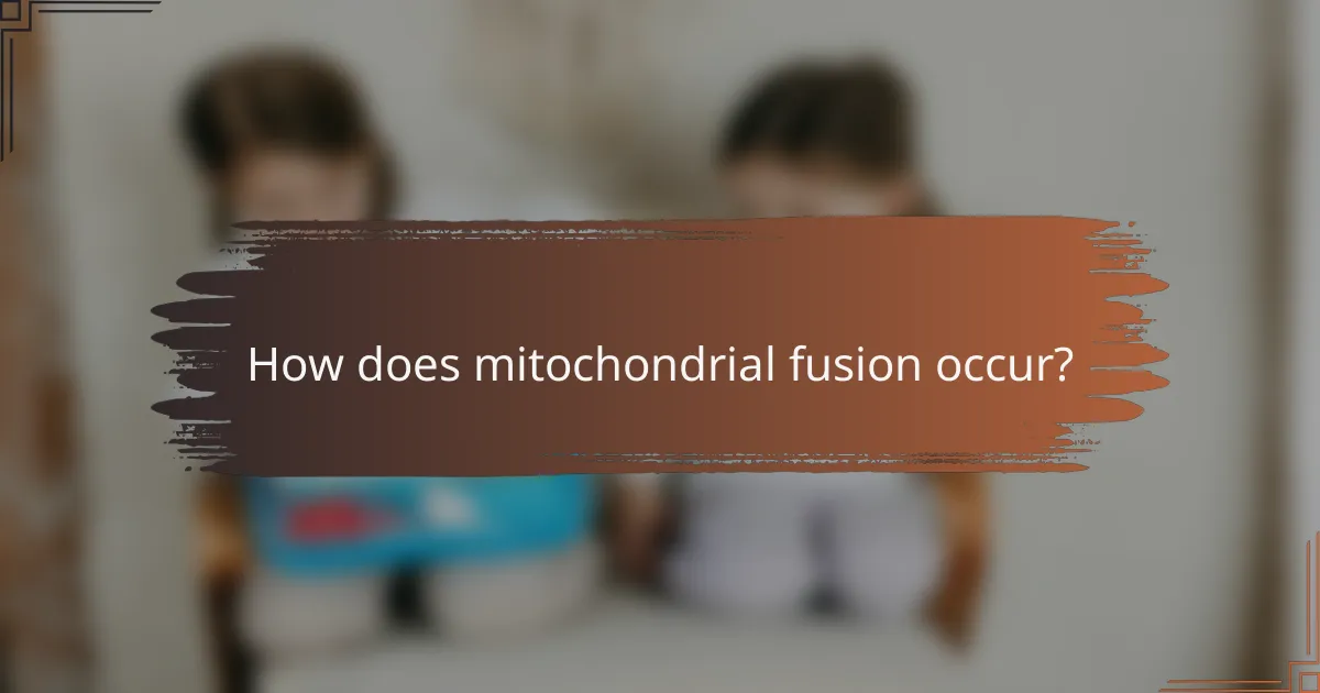 How does mitochondrial fusion occur?